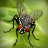 /album/dana49sal/photolia-a01-jpg/