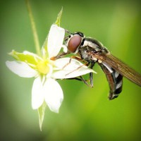 /album/dana49sal/photolia-a02-jpg/