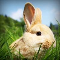 /album/dana49sal/photolia-a03-jpg/