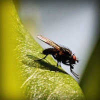 /album/dana49sal/photolia-a04-jpg/