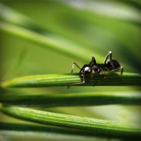 /album/dana49sal/photolia-a05-jpg/