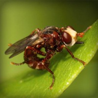 /album/dana49sal/photolia-a06-jpg/