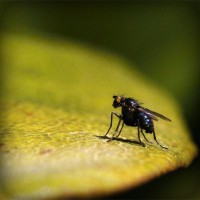 /album/dana49sal/photolia-a07-jpg/