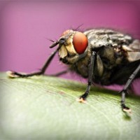 /album/dana49sal/photolia-a08-jpg/